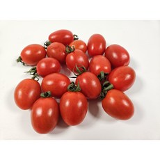 방울토마토 TOP01