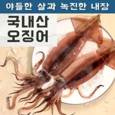 오징어회