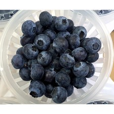 생블루베리200g