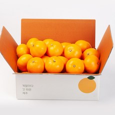깨비농원 제주 천혜향, 천혜향 4.5kg 소과(28-36과), 1박스