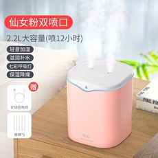 가습기루프트럼