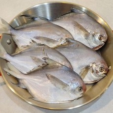 손질병어 흰살생선 국내산 손질 병어 10마리 비린내 없는, [색상]본상품, 1
