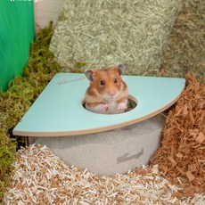 나이트엔젤데크