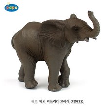 파포코끼리