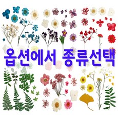 압화 HR200시리즈 레진공예 스티커X 누름꽃 압화편지 (옵션에서 종류 선택해 주세요), HR-208(스카이)
