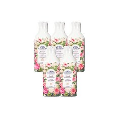 르샤트라로즈제라늄