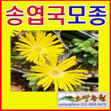 0dd524bc9f60350d6021a2722822be6df19dd3c84c234c2cf4b11291fc93.png