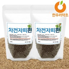 차전자피 환 600g 식이섬유 효능 먹는법