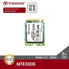 트랜센드 MTE300S M.2 1TB NVMe SSD (GEN3 / 2230 / 5년), _1TB