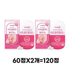 로엘 웰업 초저분자 올인원 비오틴콜라겐 엘라스틴정 30g, 120정, 1개