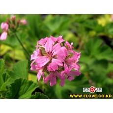 57b73bdb215eeea48fb56e61110cb1d4a0ccef8449b8a5faca17864a8ee2.jpg