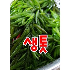 완도산 생톳 2kg 15000 톳장아찌 톳무침 햇생톳 해조류 톳밥, 단일상품