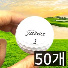 [캐디픽] 타이틀리스트로스트볼 v1 v1x 혼합 A+ ~ S급 혼합 타이틀 골프공 10알 재생볼 아님, 5개, 10개, 화이트