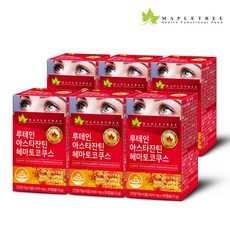 메이플트리보라지유