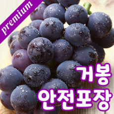 훼마e98프리미엄