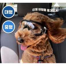 대형베레모
