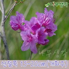 9226acb85ec95db4298210086ccf41e815f791b7b3938195e3a4fc2af173.jpg
