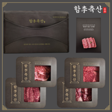[함이축산] 프리미엄 1++ 투뿔 한우 구이용 선물세트 등심 300g + 부채살 300g + 채끝살 300g + 업진살 300g, 1개
