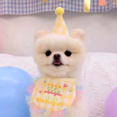 알파벳샵 강아지 고양이 생일 파티 고깔 세트 * 2개, 1세트, 노랑