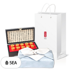송강당 대명공진보 홍삼환 선물세트 + 쇼핑백, 450g, 5세트