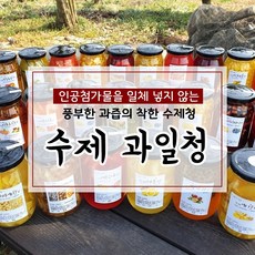 무색소 무첨가 100% 수제청 과일청 자몽청 500g, 24번 생강착즙청, 1개