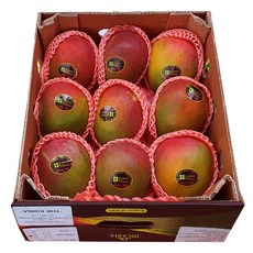 애플망고4kg7-10과내 수입망고 빨간망고, 1개