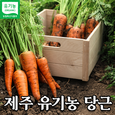 제주 유기농 당근 국내산 흙 당근 못난이 당근 세척 당근 쥬스 용 당근 3kg 5kg 10kg 20kg, 최상품특 세척 당근 5kg