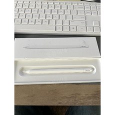 애플펜슬 2세대 정품 새상품 아이패드 펜슬 Pencil 2nd MU8F2KH/A, 애플펜슬 2세대 (USB-C), 1개