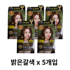 리엔 흑모비책 한방 크림염색제, 00.3 밝은갈색, 5개
