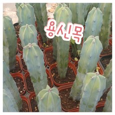 7f8e33cdf41db4b690ca4e1cb09d8bd70c69d7db537140eddd0ccb236b36.jpg