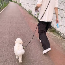 동구네 두꺼운 핸즈프리 멀티 리드줄, 블랙, 1개