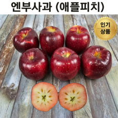 명품 로얄 엔부사과 중 대 2.5kg 5kg 애플피치 애플피치사과 엔부피치애플사과 엔부사과가정용 앤부사과 엔부과일 사과 블러드애플, 1개, 5kg(대사이즈/12-20과 내외)