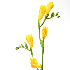 f5dce950dc78cbf1beb3f6bbcf1a6a48ead5e663cf12a26938d4c476ef7d.jpg