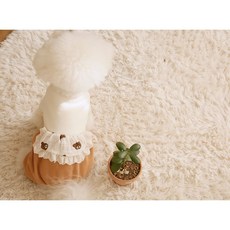 곰돌이앞치마 강아지올인원 강아지옷, 곰돌이M, 곰돌이, 1개