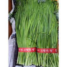 영양부추 1단 국산 200g 내외, 1개