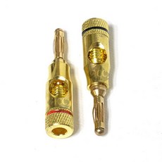 바나나플러그젠더