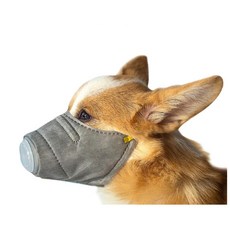 강아지코로나마스크