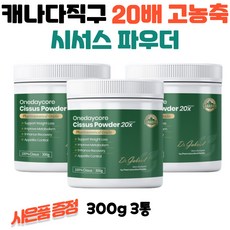 신세계상품권지류