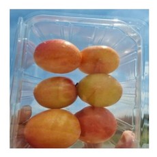 고로 경북 경산 햇자두 중과크기 자두청 자두잼 자두파이, 1박스, 300g(300gX1팩(1팩당 햇자두4~6개))