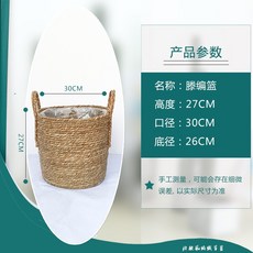 북유럽인테리어소품 북유럽스타일의 장식 식물 셀럽 대형 모방 선인장 모형분재 장식품 스탠드형 녹색식물, T24-무늬+색상 등나무편직 블루