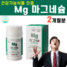 마그비감마