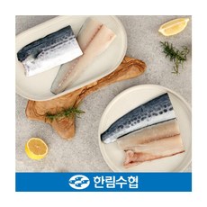 제주 한림수협 신선한 삼치살 150g x 9팩(1.35kg), ONE COLOR, ONE SIZE