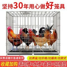 e347cac125af7b22ea78297ba305362992c904effcef3a9b8cebe9dd3817.jpeg