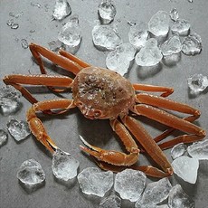 바른마켓 자숙 러시아대게1kg(1~2미내외), 단품