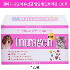 강아지 고양이 영양제 유산균 인트라젠 플러스 120포 프로바이오틱스, 인트라젠 플러스 영양제 2g x 120포, 1개 - 인트라젠유산균