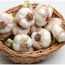 마늘10kg-추천-상품