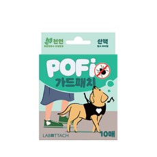 가드패치