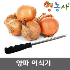 양파이식기