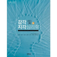 감각및지각심리학