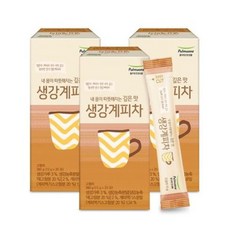올가 풀무원 생강계피차 13g20포, 13g, 20개입, 3개